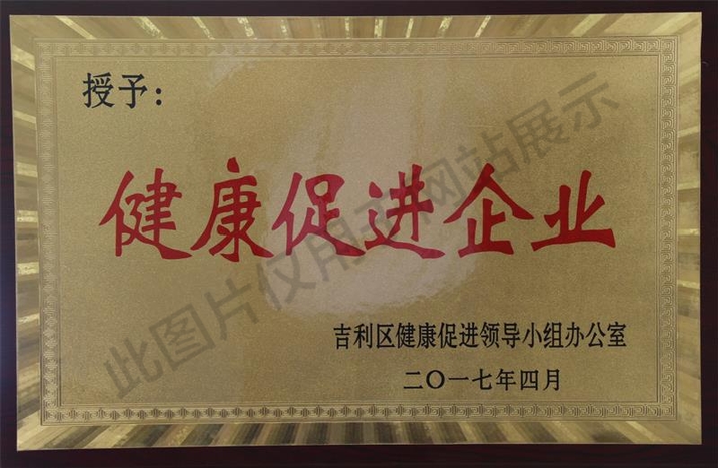 設(shè)計公司健康促進企業(yè)獎牌